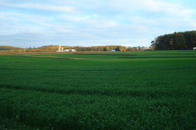 view of the farm