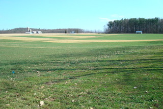 view of the farm