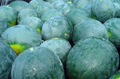 watermelon