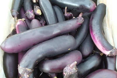 asian-eggplant