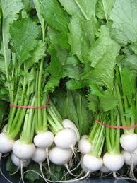 oasis turnips